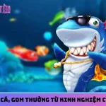 Bí kíp săn cá, gom thưởng từ kinh nghiệm của cao thủ 