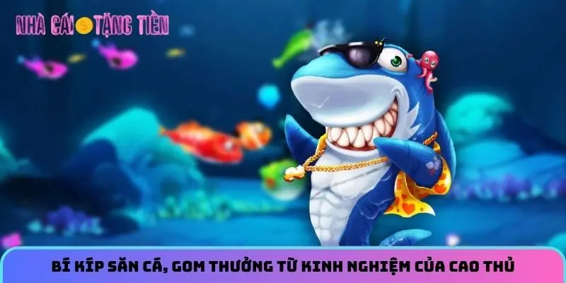 Bí kíp săn cá, gom thưởng từ kinh nghiệm của cao thủ 